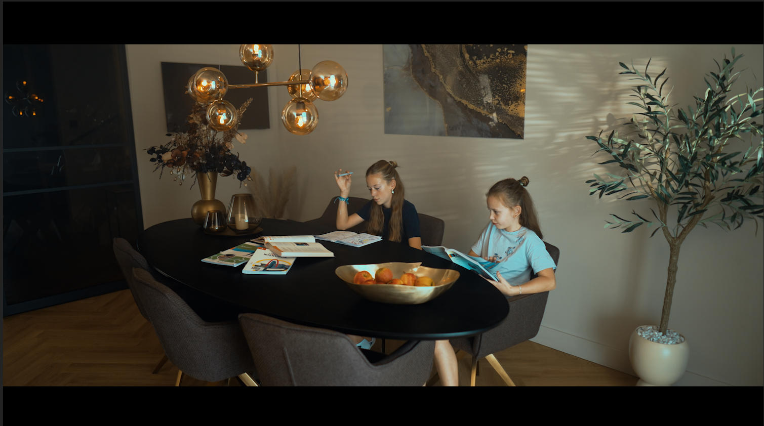 Schermafbeelding 2025-01-30 222702